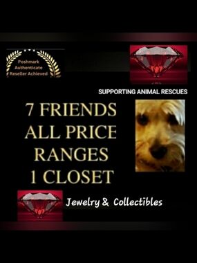 Supporting Animal Rescues